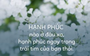 Hạnh phú