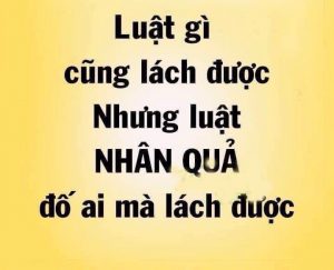 nhân quả