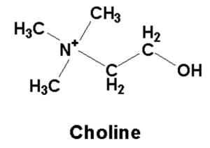 choline