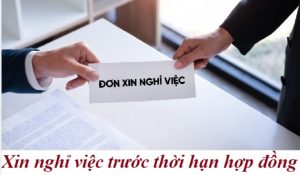 Công việc của kế toán trước khi nghỉ việc tại một công ty