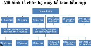 Kế toán chia thành những vị trí và nhiệm vụ nào