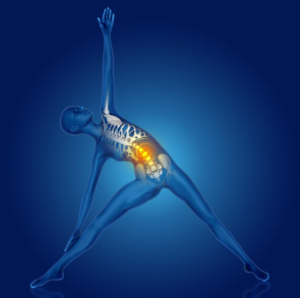 Những hiểu lầm về nguyên nhân gây đau lưng theo cuốn sách Back Mechanic– Dr Stuart McGill