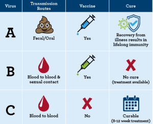 Tại sao lại là virut viêm gan A, B, C