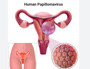 Virus HPV là gì