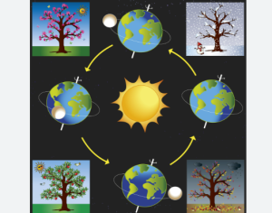 Tại sao có bốn mùa trong năm